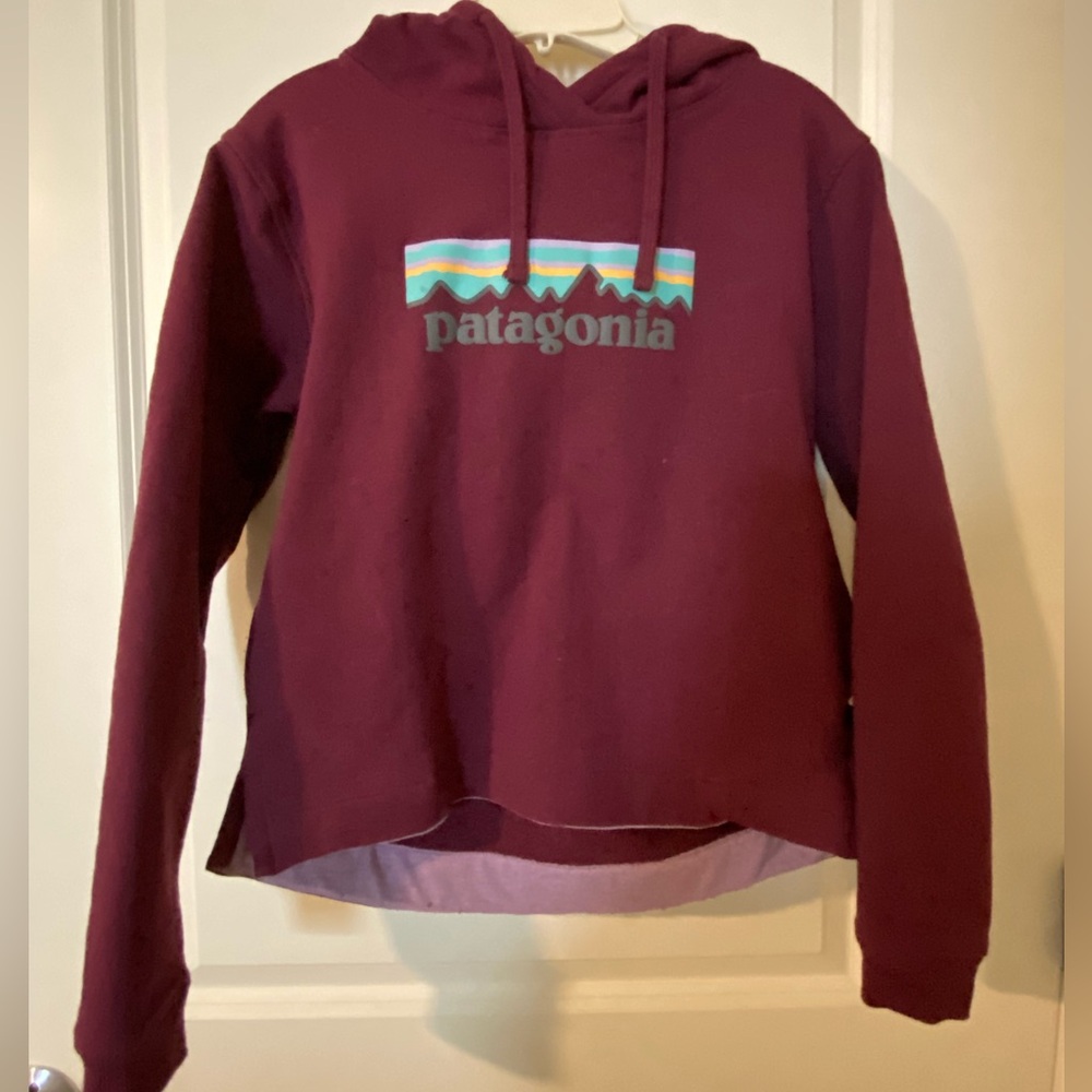 Patagonia Burgundy Pullover Hoodie with Multicolor Mountain Logo